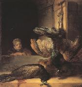 REMBRANDT Harmenszoon van Rijn Still life with two dead Peacocks and a Girl (mk33) oil on canvas